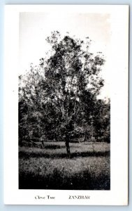 RPPC ZANZIBAR Clove Tree TANZANIA Postcard