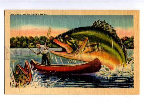 178578 USA Asheville FISHING giant fish vintage postcard