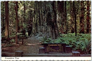 Postcard - Founders Tree - Weott, California