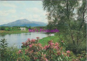 Scotland Postcard - Loch Shiel and Ben Resipol From Shiel Bridge RR20799