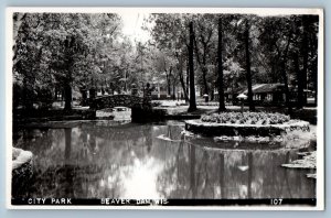 c1910's View Of City Park Beaver Dam Wisconsin WI RPPC Photo Antique Postcard