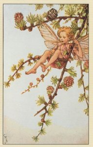 Larch Flower Fairy Fairies Antique Book Stunning Postcard