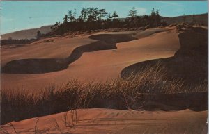 Sand Dunes, Oregon Coast - One of the scenic wonders of the Pacific Coast