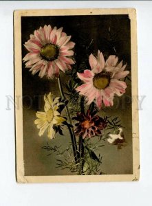 3164128 GERMANY Charming Flowers RPPC Visselhovede in 1944 year