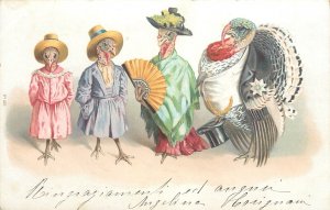 Dressed Turkey Postcard Very Fancy Lady Turkeys and Tom With a Badge on Tuxedo