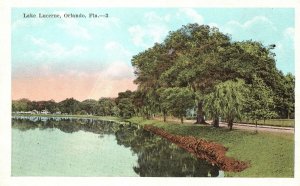 Vintage Postcard Lake Lucerne Scenic View Beautiful Trees Orlando Florida FL