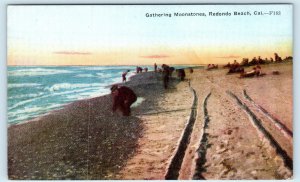 REDONDO BEACH, CA  Gathering MOONSTONES on BEACH  c1910s  Postcard