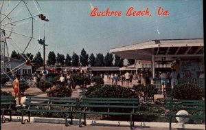 Hampton Virginia VA Buckroe Beach Amusement Park Ferris Wheel c1950s-60s PC