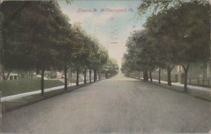 Postcard Elmira St Williamsport PA 1908