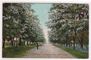 Euclid Avenue Prosser Washington 1910c postcard