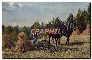 Postcard Old Labor Folklore Horses