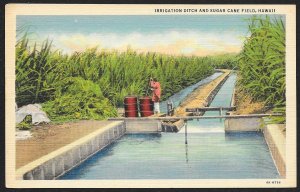 Irrigation Ditch & Sugar Cane Field Hawaii Unused c1934