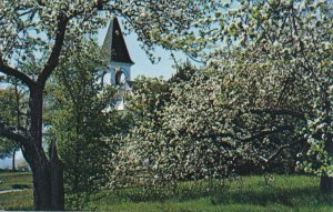 Spring Blossom Time in the Annapolis Valley NS, Nova Scotia, Canada