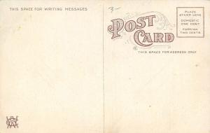 Sterling Illinois~West Third Street Homes~Tree Lined Sidewalks~1910 Postcard