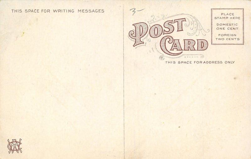 Sterling Illinois~West Third Street Homes~Tree Lined Sidewalks~1910 Postcard