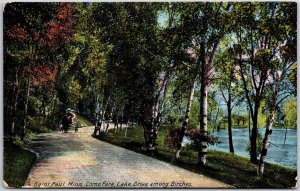 1912 Saint Paul Minnesota Como Park Lake Drive Among Birches Posted Postcard