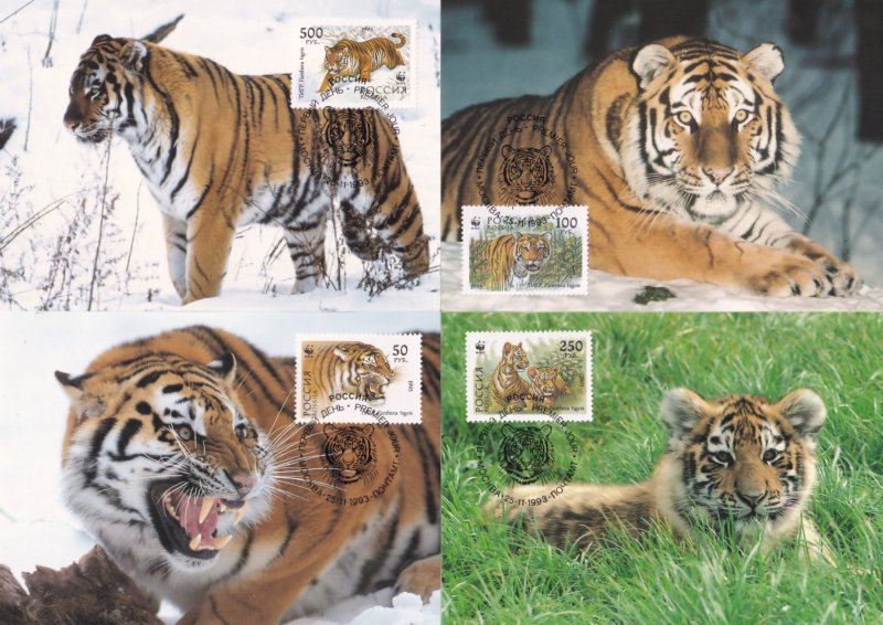 Siberian Tiger Russian WWF Stamp First Day Cover 4x Postcard s