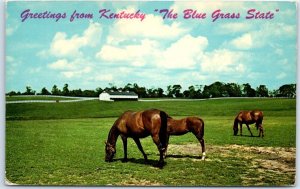 M-46567 Greetings from Kentucky The Blue Grass State Lexington