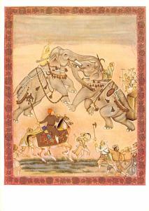 Two Elephants Fighting - Indian