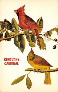 Kentucky Cardinal Greetings from Kentucky  