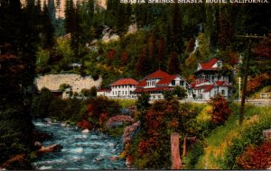 California Shasta Springs