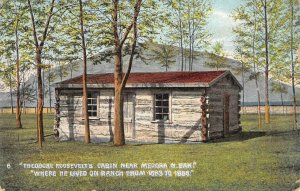 Theodore Roosevelt's Cabin Near Medora, North Dakota c1910s Vintage Postcard