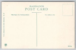 Barbados Queens Park Bridgetown Postcard B46