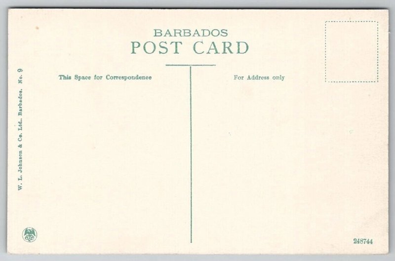 Barbados Queens Park Bridgetown Postcard B46