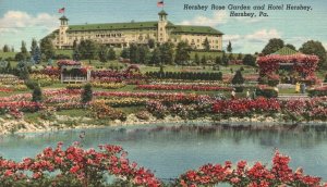 Hershey Rose Garden & Hotel Hershey Pennsylvania PA Tourist Attraction Postcard