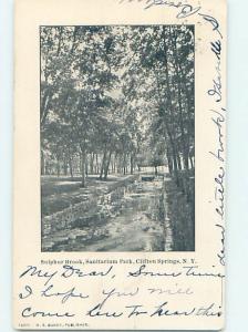 Pre-1907 PARK SCENE Adirondacks - Clifton Springs New York NY H4239