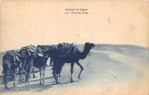 B91472 types folklore dans les dunes chamel africa algeria