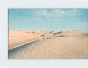 Postcard Roadway Thru Sands, White Sand National Monument, New Mexico