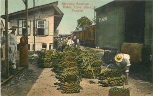 C-1910 Shipping Bananas Bohio Canal Zone Panama postcard 8968