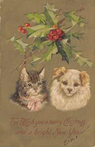 Christmas Cat Dog gold background1908 ae106 postcard