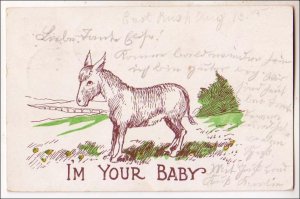 I'm Your Baby - Donkey