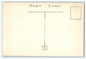 c1940's Dundurn Castle and Museum Hamilton Ontario Canada Vintage Postcard 