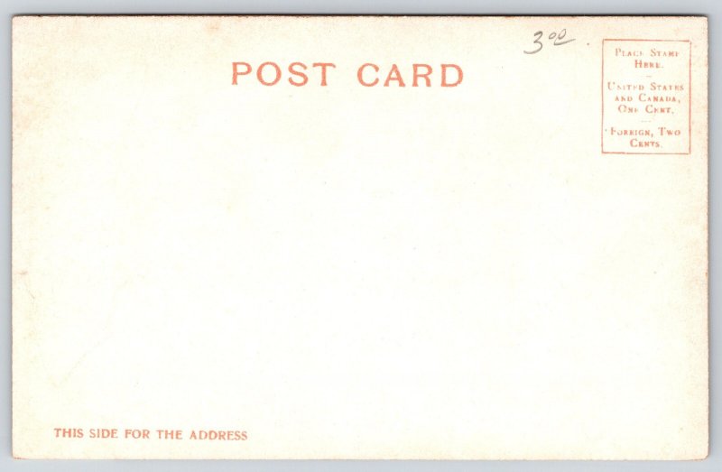 Albany New York~New York State Armory~c1905 Postcard