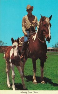 USA Howdy From Texas Cowboy Chrome Vintage Postcard 07.57