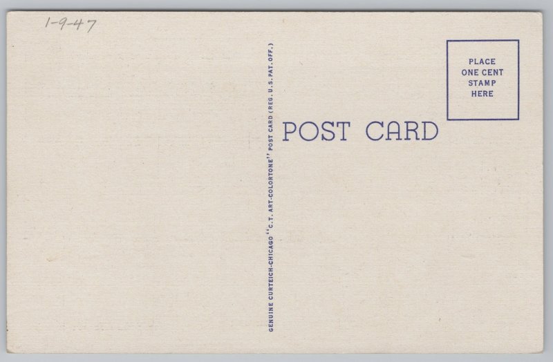 Linen~Artesian Park & Palms Corpus Christi Texas~Vintage Postcard