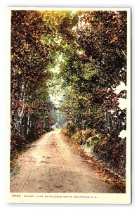 Swasey Lane Bethlehem White Mountains N. H. New Hampshire Postcard