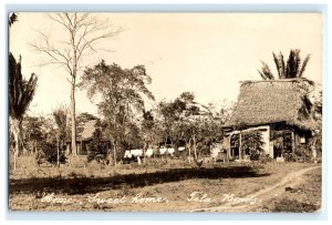 Early Village Scene Tela Honduras Real Photo RPPC Postcard (FA20)