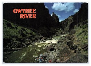 Owyhee River Canyon  Widow Maker Rapid Continental View Postcard