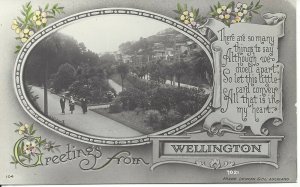 1919 - Greetings from Wellington, New Zealand, Frank Duncan & Co. Auckland(R119)