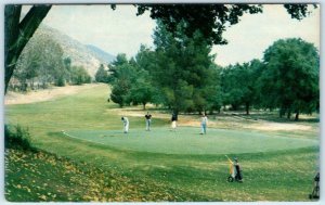 Riverside County GILMAN GOLF COURSE near Hemet & San Jacinto c1960s  Postcard