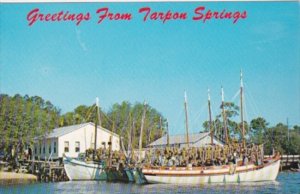 Florida Greetings From Tarpon Springs Showing Sponge Boats With Drying Sponges