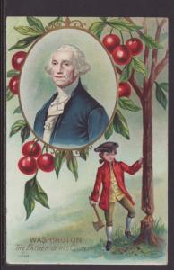 George Washington,Cherry Tree Postcard