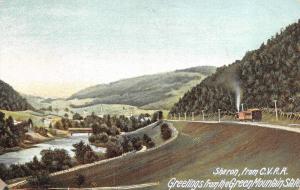 SHARON, VT Vermont  HOMES~BRIDGE~Central Vermont Railway CVRR  c1900's Postcard