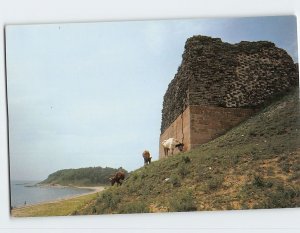 Postcard The Old Dragon's Head-the East End of the Great Wall - China