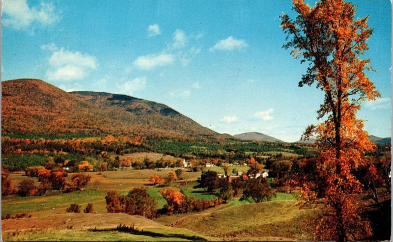 Landscape Sunderland Vermont VT Mt Equinox Chrome Postcard WOB Note 4c Stamp PM 