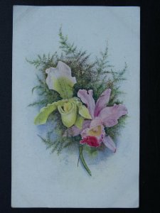 Flowers ORCHIDS Artist A.F ARMITAGE c1916 Postcard by Raphael Tuck 8851